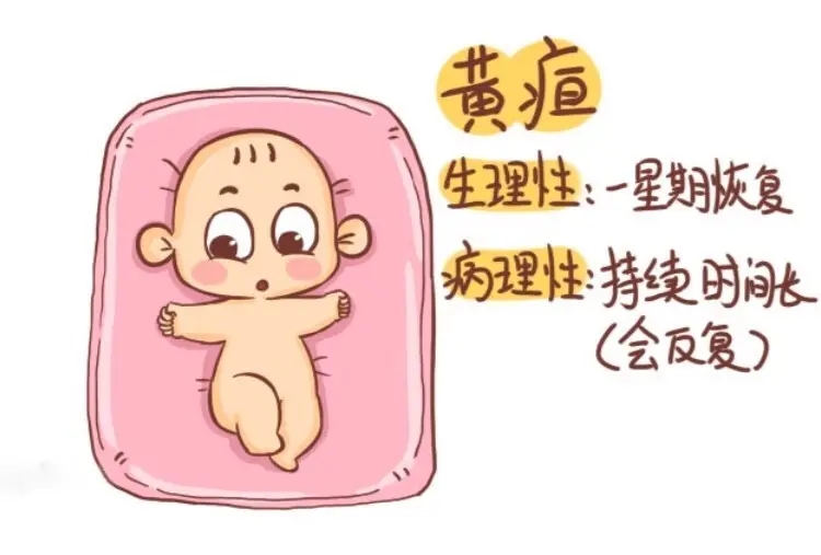 3684182eca9d63.jpg 3684182eca9d63.jpg