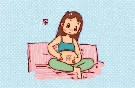 0120200723681861141.jpg 0120200723681861141.jpg