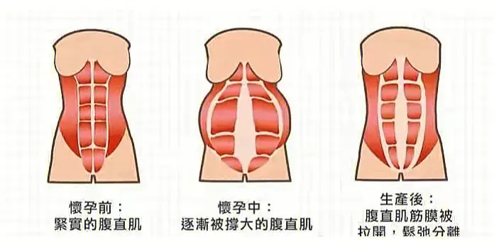 src=http___safe-img.xhscdn.com_bw1_814b3417-4762-43d4-b4a6-fde643e9c3f5_imageView2_2_w_1080_format_jpg&refer=http___safe-img.xhscdn.webp.jpg src=http___safe-img.xhscdn.com_bw1_814b3417-4762-43d4-b4a6-fde643e9c3f5_imageView2_2_w_1080_format_jpg&refer=http___safe-img.xhscdn.webp.jpg