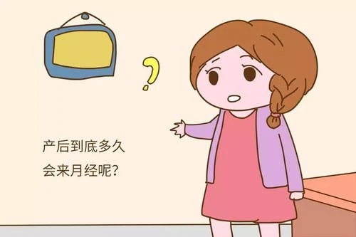 641.webp (2).jpg 641.webp (2).jpg